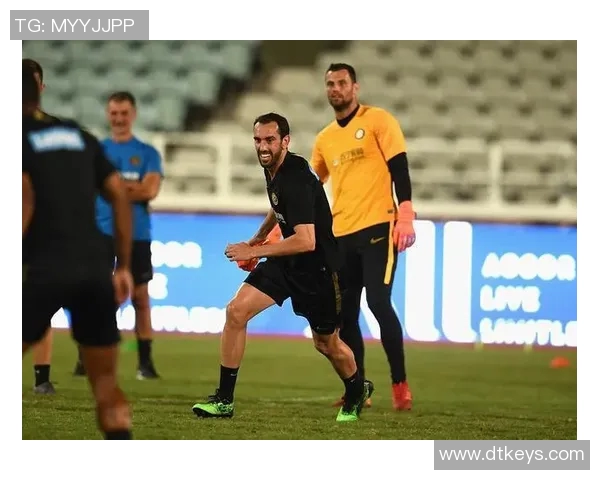 戈丁领衔意甲赛场的防守风暴 戈丁领衔意甲赛场的防守风暴